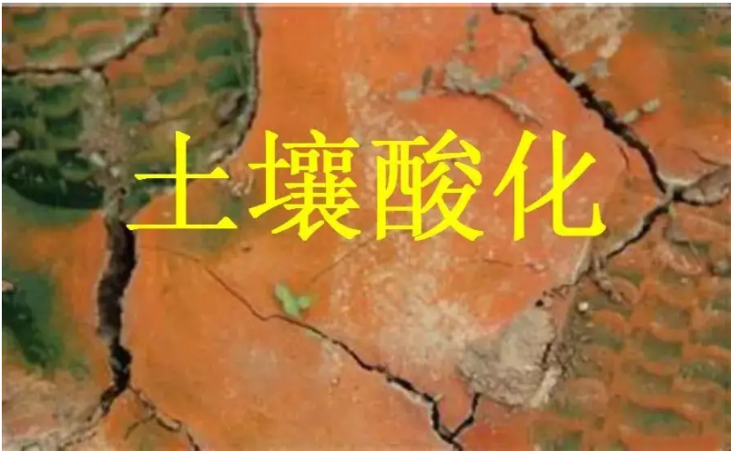 識(shí)別土壤“病”，土壤測(cè)試儀器是如何提高土壤免疫力的？